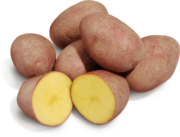 Fränkische Rotschalige Kartoffeln