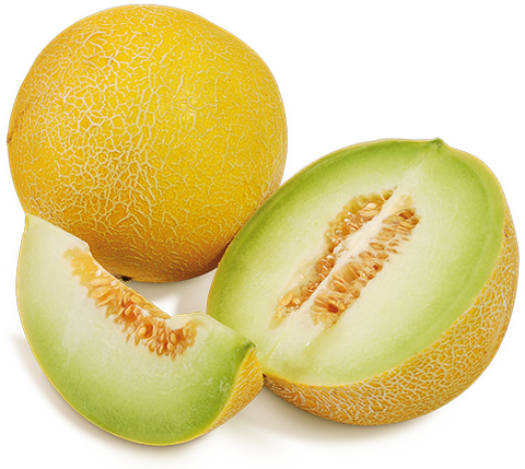 Spanische Galia-Melonen