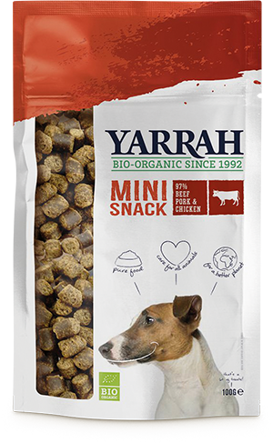 Mini-Snacks für Hunde